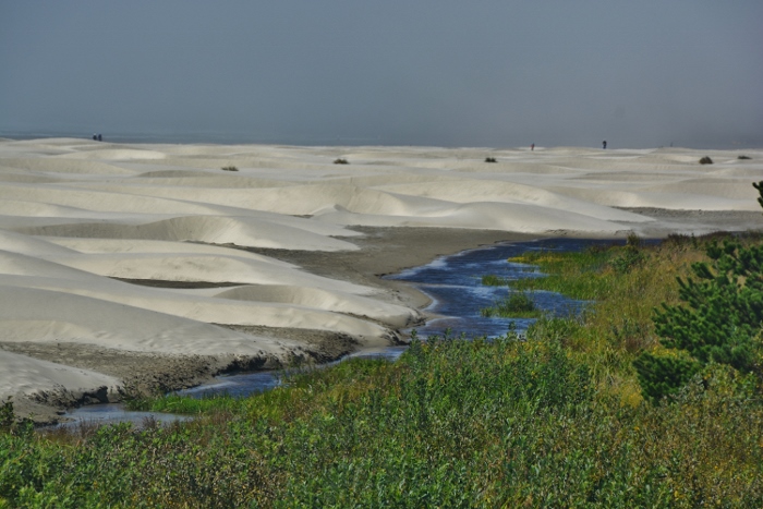 Agate Beach